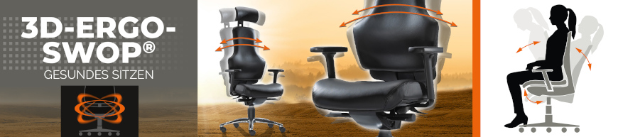3D Ergo SWOP
